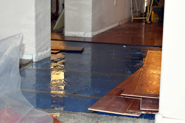 Professional Water Damage Restoration technician working in Harbor Beach, MI